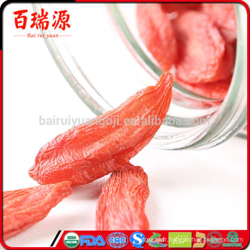 Pianta del goji acheter des baies de goji en ligne goji berry lycium barbarum